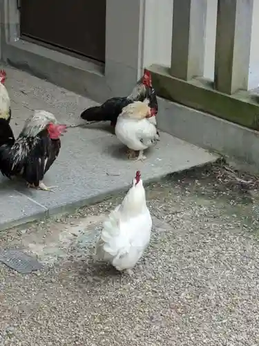 大崎八幡宮(宮城県)