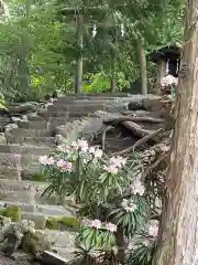 北口本宮冨士浅間神社(山梨県)