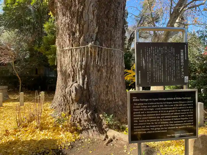芝東照宮の自然