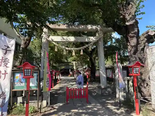 鴻神社(埼玉県)