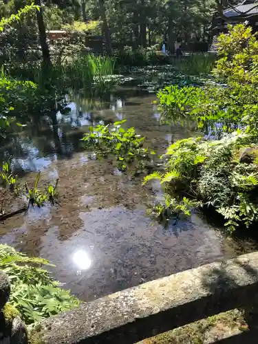 金澤神社の庭園