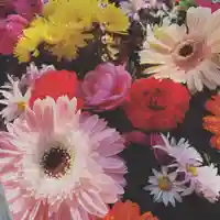 豊景神社の手水舎