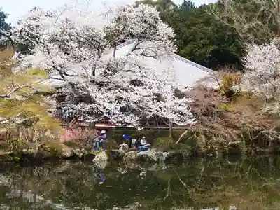 醍醐寺(京都府)