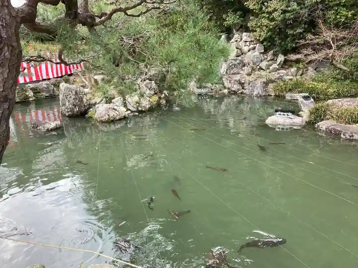 清荒神清澄寺(兵庫県)