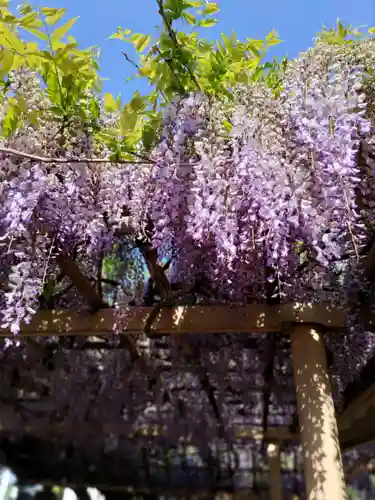 金蛇水神社(宮城県)