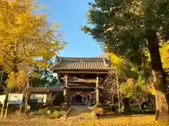 徳星寺(埼玉県)