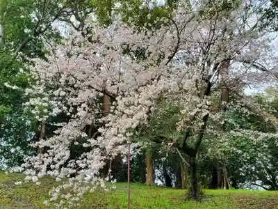 西岡神宮の自然