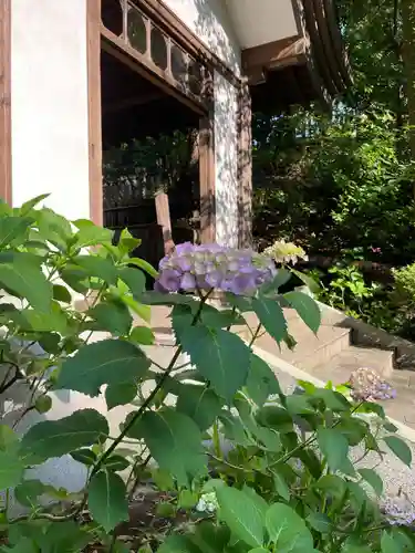 伊勢山皇大神宮の自然