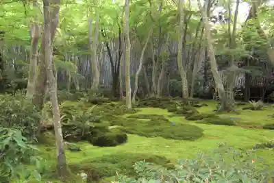 祇王寺(京都府)