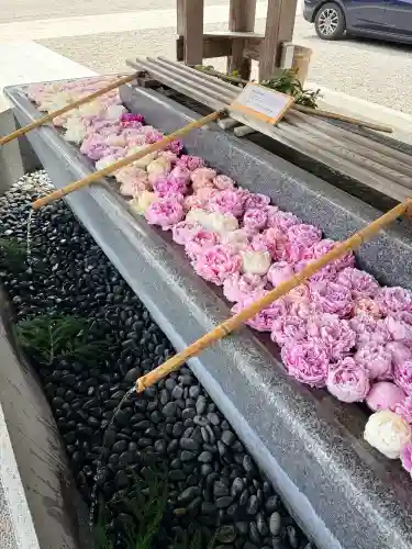射水神社(富山県)