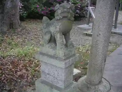 坂本神社の狛犬