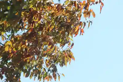 国宝 大法寺(長野県)