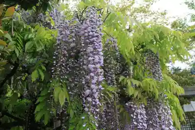 古峯神社の庭園