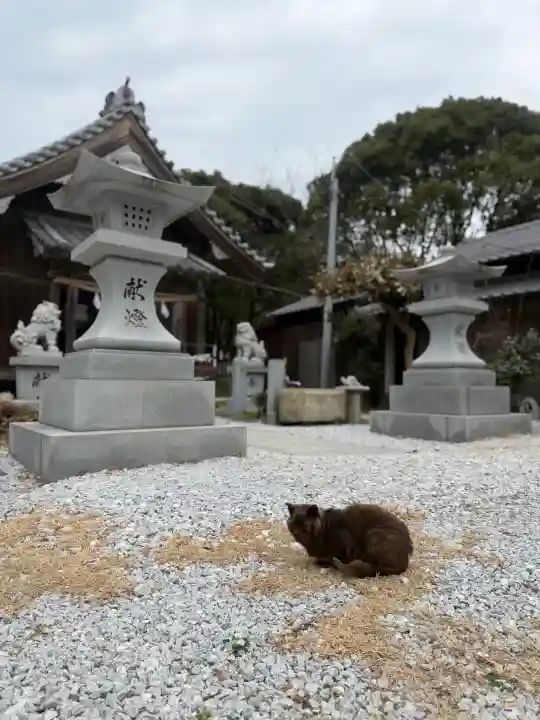 年毛神社の{uncategorized: "未分類", other: "その他", undefined: "問題あり", building: "その他建物", grave: "お墓", sacred_gate: "鳥居", guardian: "狛犬", statue: "像", buddha: "仏像", history: "歴史", nature: "自然", garden: "庭園", animal: "動物", pagoda: "塔", temizu: "手水舎", mountain_gate: "山門・神門", sanctuary: "本殿・本堂", subordinate: "末社・摂社", art: "芸術", scenery: "景色", jizo: "地蔵", ema: "絵馬", goshuin: "御朱印", omikuji: "おみくじ", items: "授与品その他", amulet: "お守り", goshuincho: "御朱印帳", eats: "食事", festival: "お祭り", votive_dance: "神楽", shichigosan: "七五三参", wedding: "結婚式", experience: "体験その他", initially: "初詣", around: "周辺", anti_infection: "感染症対策"}