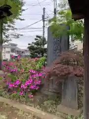 尉殿神社の建物その他