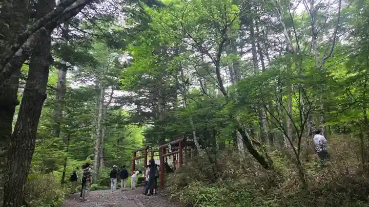 新屋山神社奥宮(山梨県)
