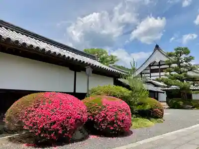 大覚寺のその他建物