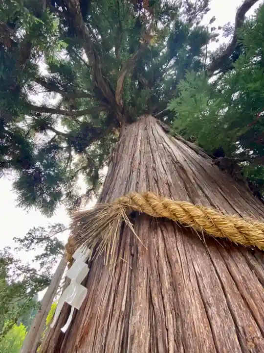 飛驒一宮水無神社(岐阜県)