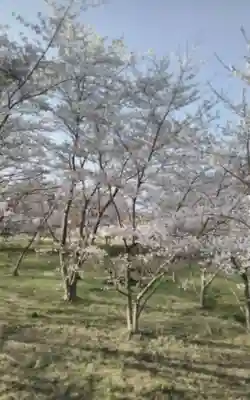 化女沼龍神(宮城県)