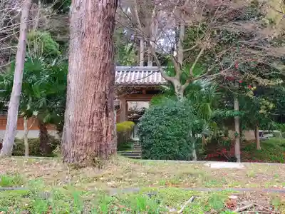 西念寺の周辺