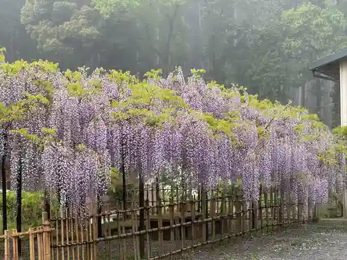 天台宗 五大山 白毫寺(兵庫県)