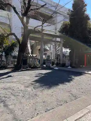 くまくま神社(導きの社 熊野町熊野神社)の鳥居
