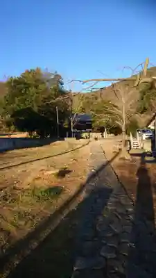 苧ｹ瀬神社のその他建物