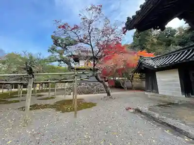 本誓寺(東本誓寺)(滋賀県)