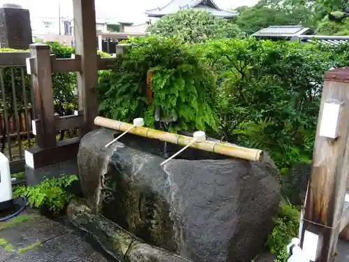 妙蓮寺の手水舎