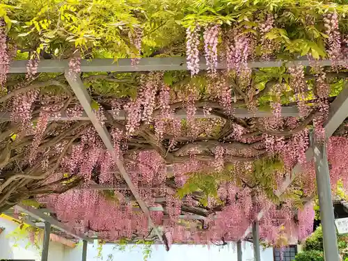 難波熊野神社の自然