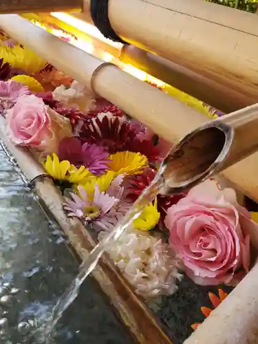 東郷神社の手水舎