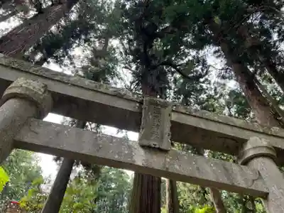 大宮温泉神社の鳥居