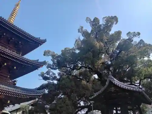 法楽寺(大阪府)