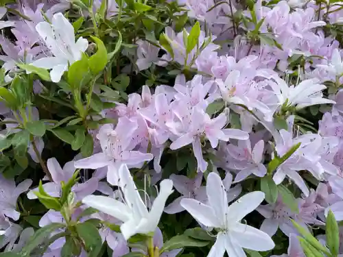 塩船観音寺の自然