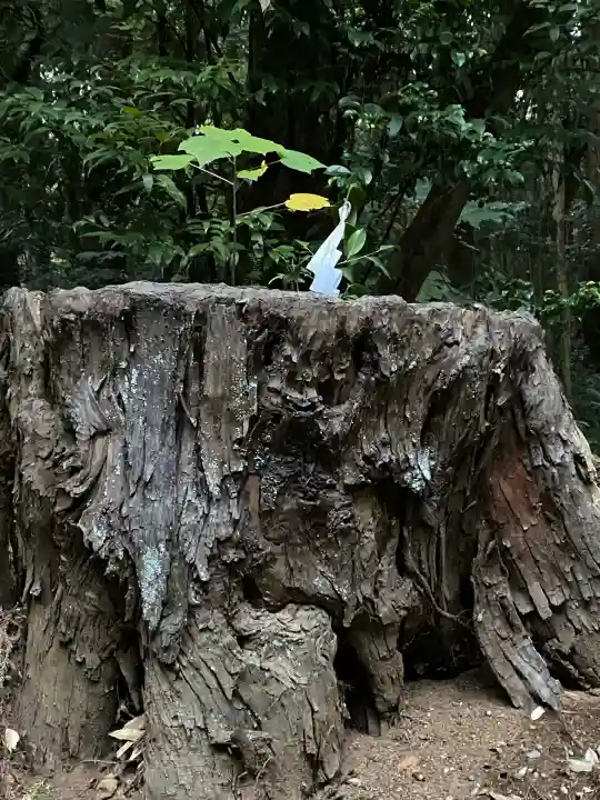 鹿島神宮(茨城県)
