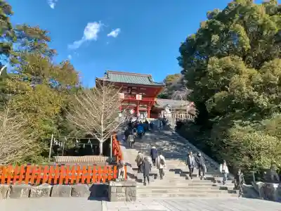 鶴岡八幡宮の初詣