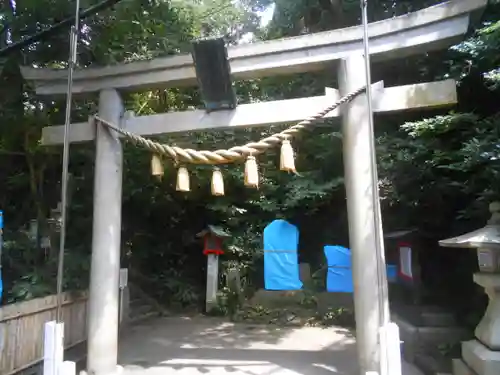 児玉神社の鳥居