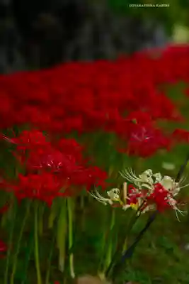 横浜　西方寺(神奈川県)