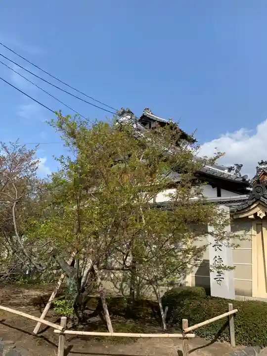 長徳寺(京都府)