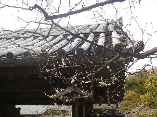 浄光明寺の自然