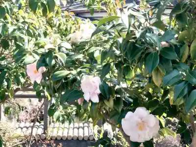 安楽寺(神奈川県)