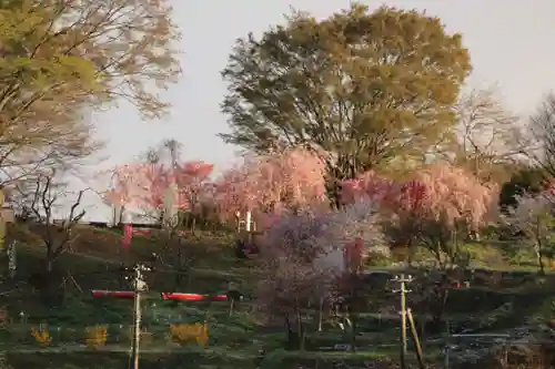 阿久津「田村神社」（郡山市阿久津町）旧社名：伊豆箱根三嶋三社の庭園