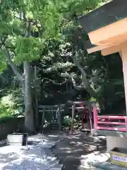 白山神社の建物その他