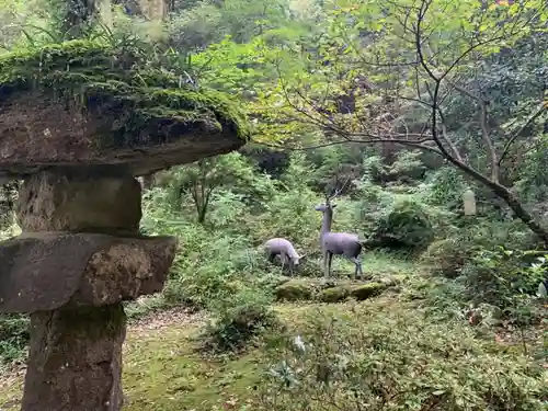 劒神社の動物