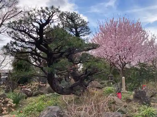 常泉寺(神奈川県)