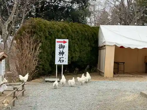 高屋敷稲荷神社の{uncategorized: "未分類", other: "その他", undefined: "問題あり", building: "その他建物", grave: "お墓", sacred_gate: "鳥居", guardian: "狛犬", statue: "像", buddha: "仏像", history: "歴史", nature: "自然", garden: "庭園", animal: "動物", pagoda: "塔", temizu: "手水舎", mountain_gate: "山門・神門", sanctuary: "本殿・本堂", subordinate: "末社・摂社", art: "芸術", scenery: "景色", jizo: "地蔵", ema: "絵馬", goshuin: "御朱印", omikuji: "おみくじ", items: "授与品その他", amulet: "お守り", goshuincho: "御朱印帳", eats: "食事", festival: "お祭り", votive_dance: "神楽", shichigosan: "七五三参", wedding: "結婚式", experience: "体験その他", initially: "初詣", around: "周辺", anti_infection: "感染症対策"}