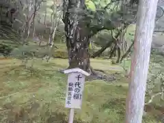 慈照寺（慈照禅寺・銀閣寺）(京都府)