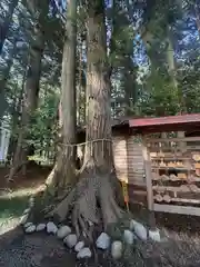 坪沼八幡神社(宮城県)