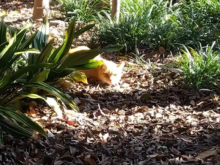 喜見寺(愛知県)