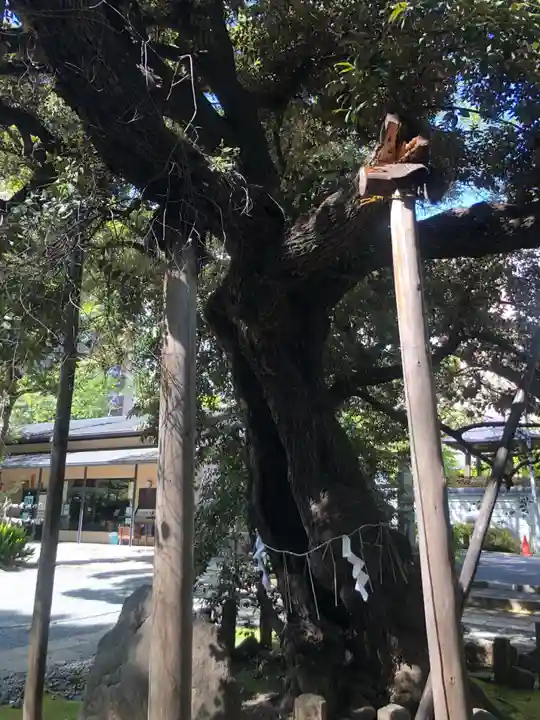 金王八幡宮(東京都)